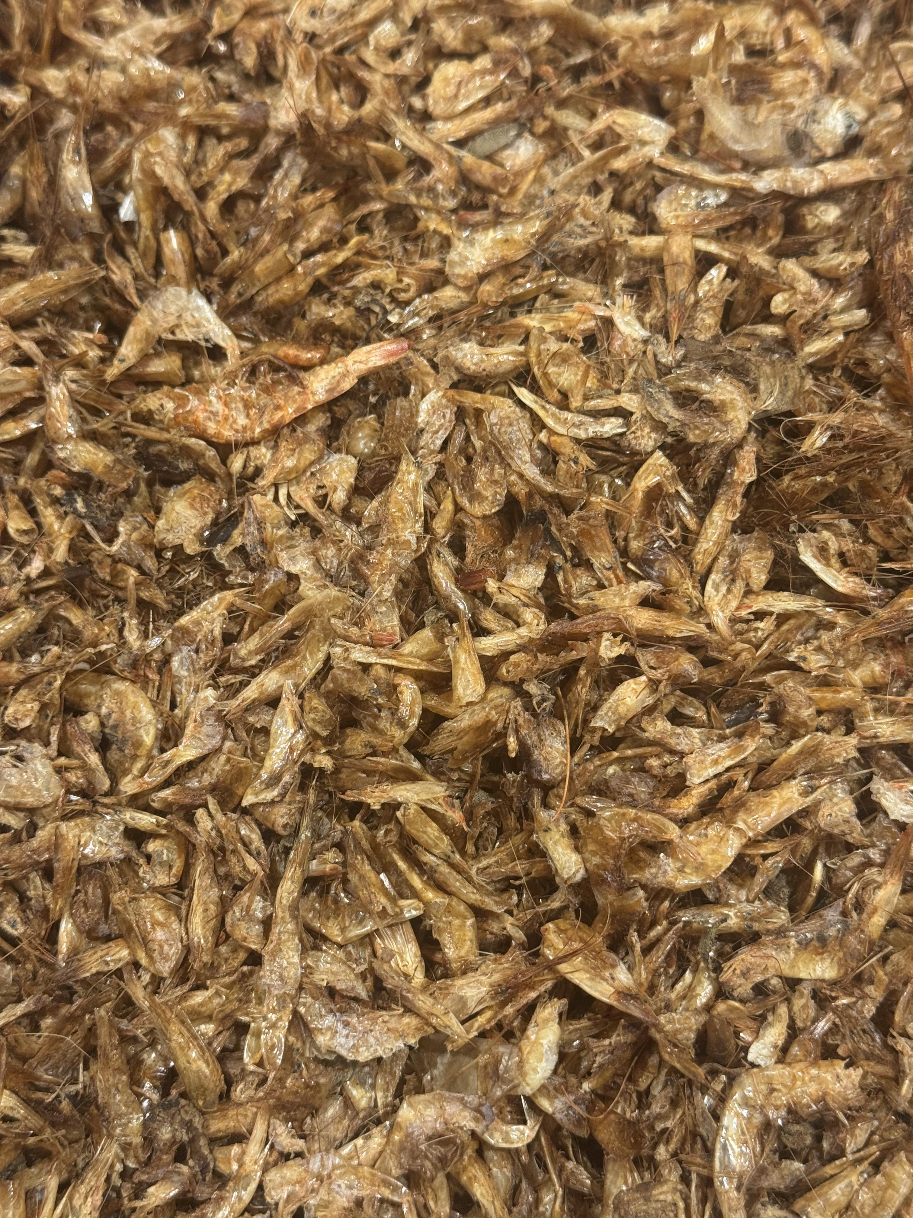 CRAYFISH