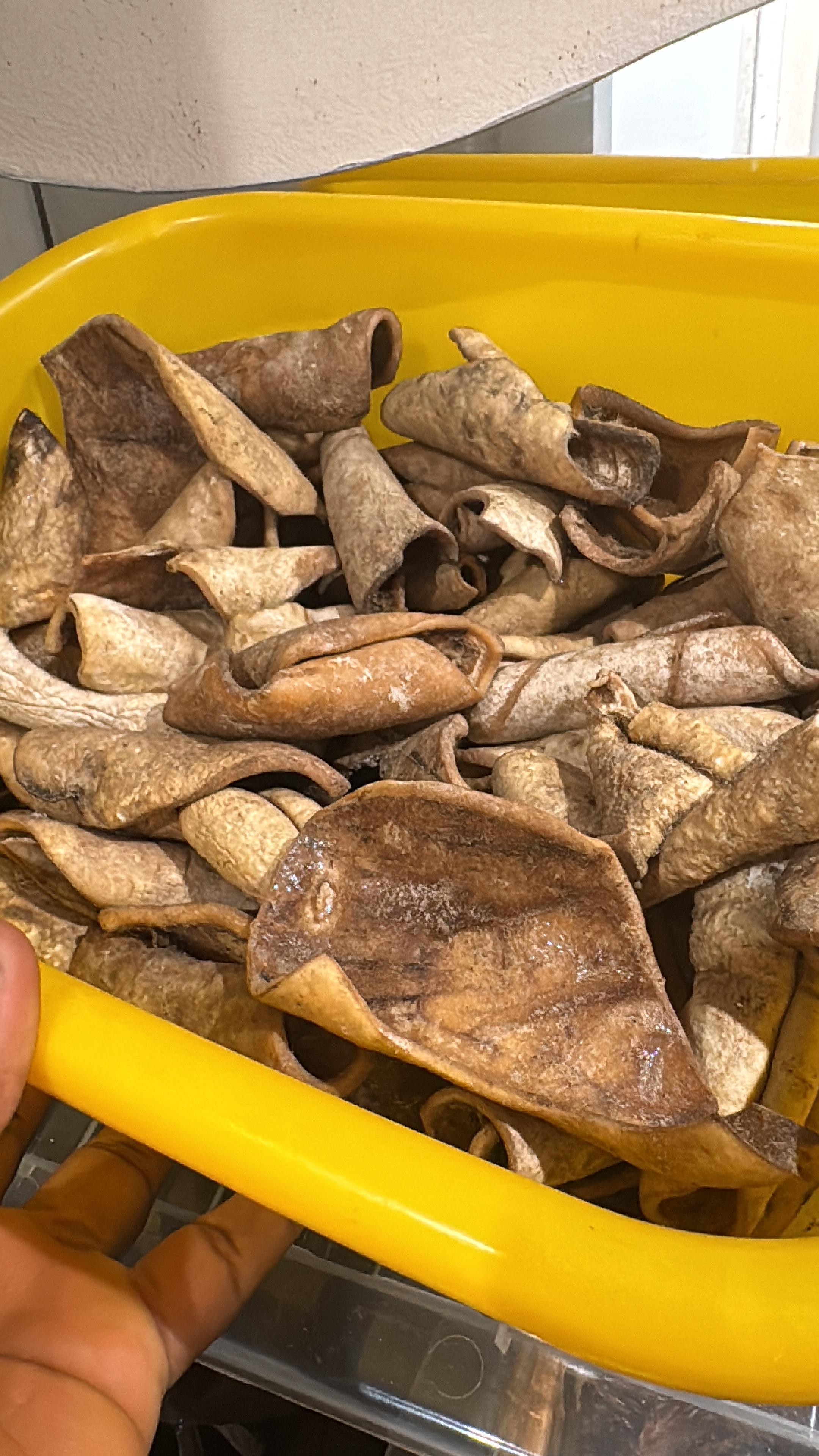 WHITE PONMO